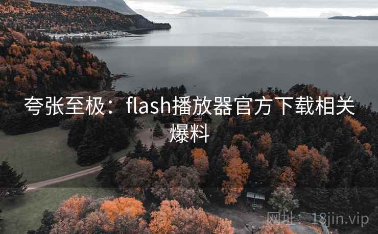 夸张至极:flash播放器官方下载相关爆料